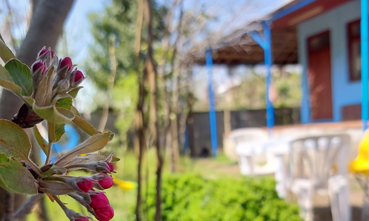 اجاره ویلا سنتی ریحان