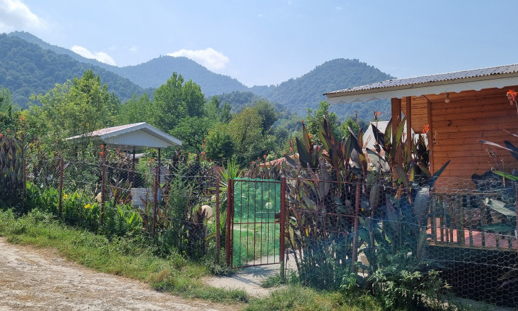 رزرو کلبه چوبی جنگلی سیاهدول