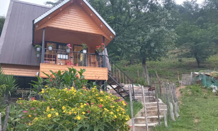 رزرو کلبه یکخوابه آرامش