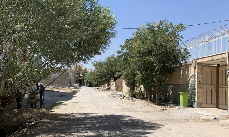 تکخواب ایلیا