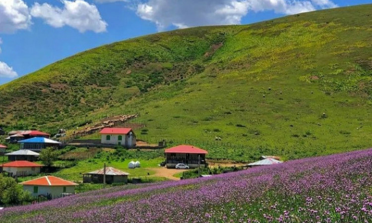 مجتمع بوم‌گردی در جاده اسالم به خلخال احمد زحمتکش2
