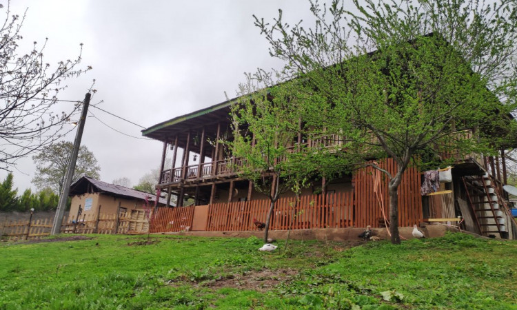 اجاره ویلا سنتی تک خوابه ننا