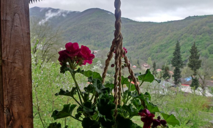 اجاره ویلا سنتی تک خوابه ننا
