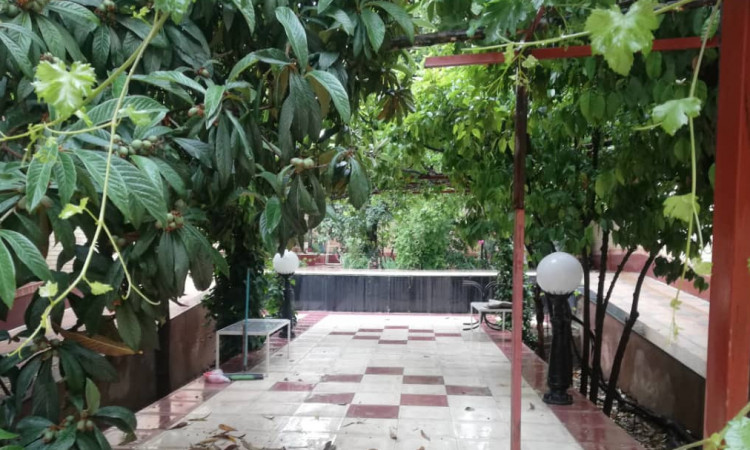 خانه لوکس با حیاط باغی