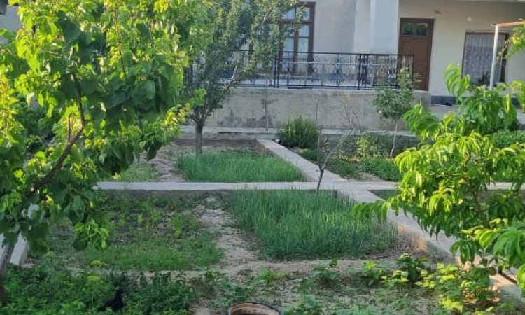 اجاره ویلاتک خوابه آنا خانم