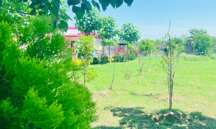 اجاره ویلاتک خوابه مرجان یک