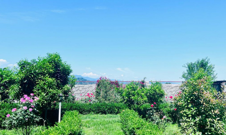 اجاره ویلاتک خوابه مرجان یک