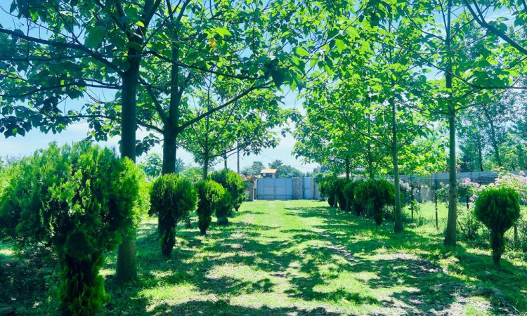 اجاره ویلاتک خوابه مرجان یک