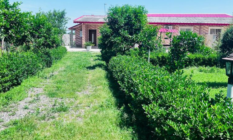 اجاره ویلاتک خوابه مرجان یک