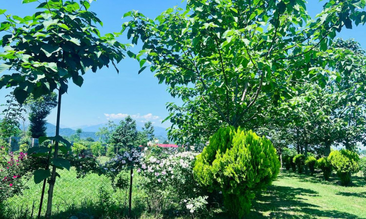 اجاره ویلاتک خوابه مرجان یک