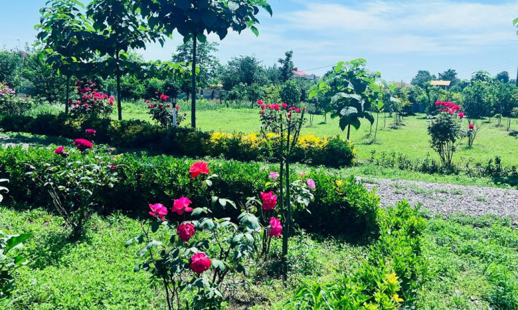 اجاره ویلاتک خوابه مرجان یک