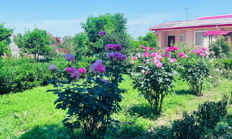 اجاره ویلاتک خوابه مرجان یک