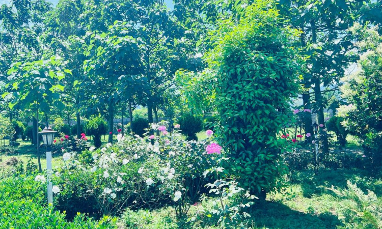 اجاره ویلاتک خوابه مرجان یک