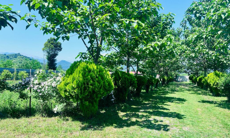 اجاره ویلاتک خوابه مرجان یک