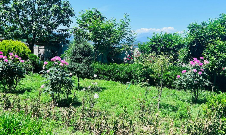 اجاره ویلاتک خوابه مرجان یک