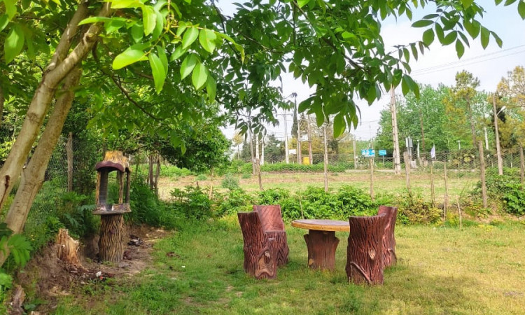 رزرو ویلای چوبی روستای من