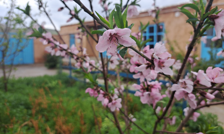 اقامتگاه بومگردی سیران