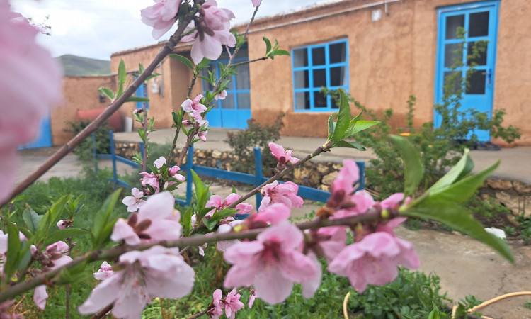 اقامتگاه بومگردی سیران
