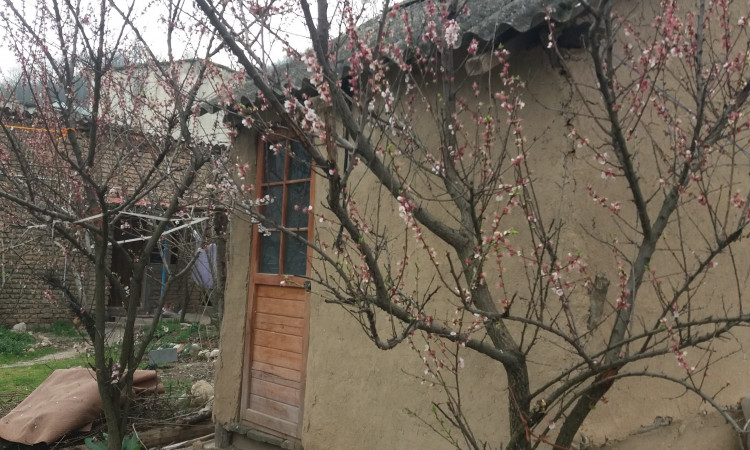اجاره ویلا تک خوابه سارنگ