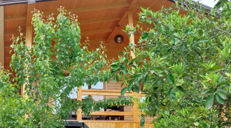 اجاره کلبه چوبی جنگلی در لفور بام قلک1