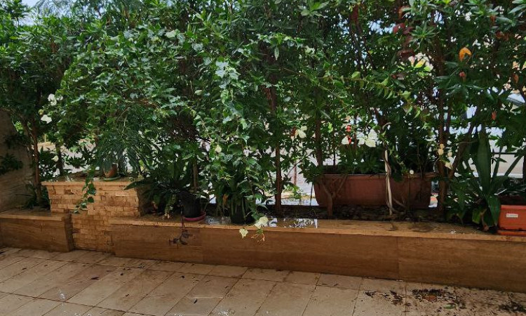 تک خواب لوکس ساحل مرجان شهرک رویای کیش