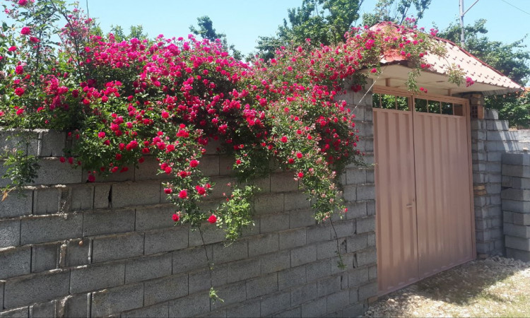 اجاره ویلا باغ50متری بهشت