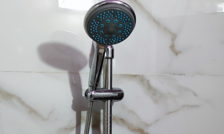 اجاره عمارت استخردار امیر علی