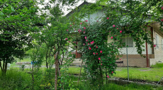 فيلا دارباست