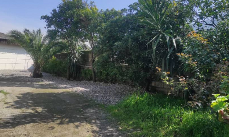 اجاره ویلا باغ استخر سرپوشیده آبگرم رامسر