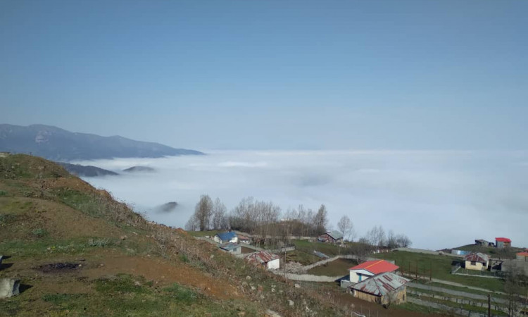 اجاره ویلا دوخوابه سید