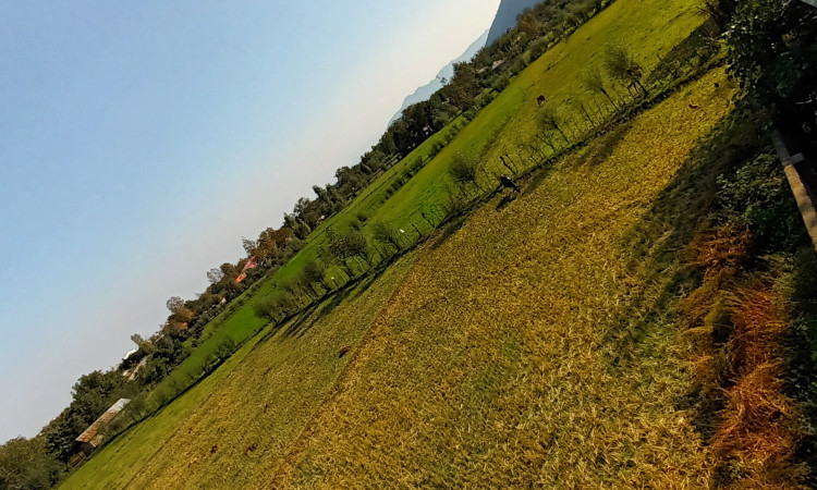 ویلا جنگلی و روستایی دوبلکس دو خوابه صابر