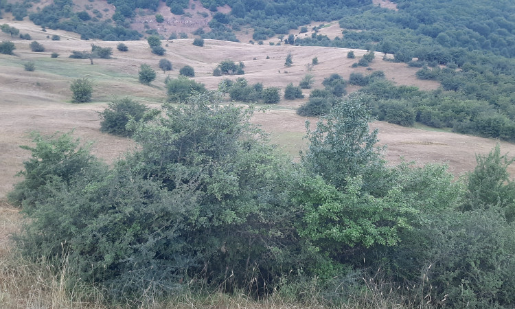 استئجار جناح دون النوم في سيبان