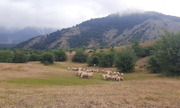 استئجار جناح دون النوم في سيبان
