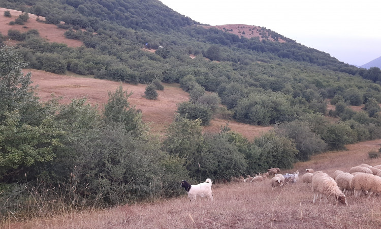 استئجار جناح دون النوم في سيبان