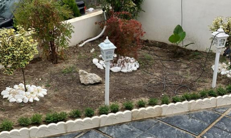 استخردار3 خواب جنگلی