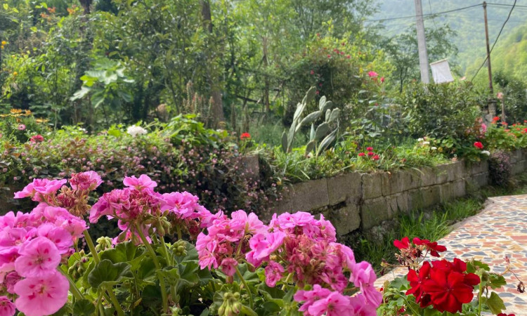 دوخوابه جنگلی گلستان ورمیه ماسال