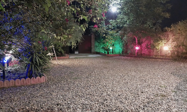 رزرو ویلای جنگلی دو خواب وحید