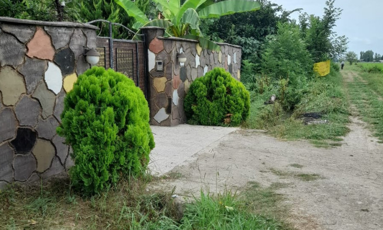 رزرو ویلای جنگلی دو خواب وحید