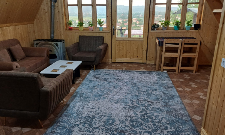 اجاره کلبه سوئیسی تک خواب امیر