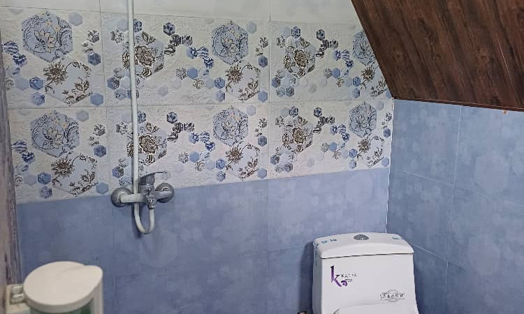 اجاره کلبه سوئیسی تک خواب امیر