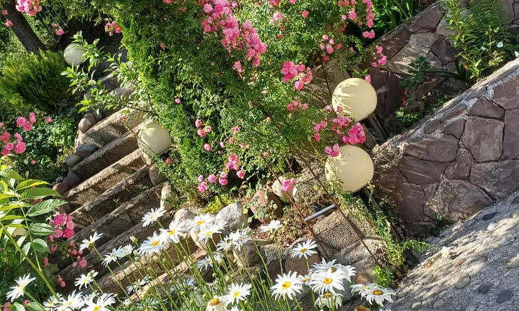 اجاره ویلای دوخوابه دنج گل در مجاورت استخرگاه