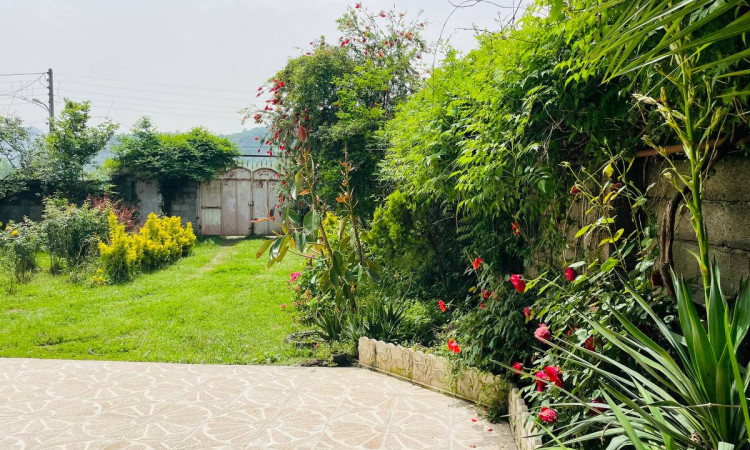 اجاره ویلای دو خواب ماسال