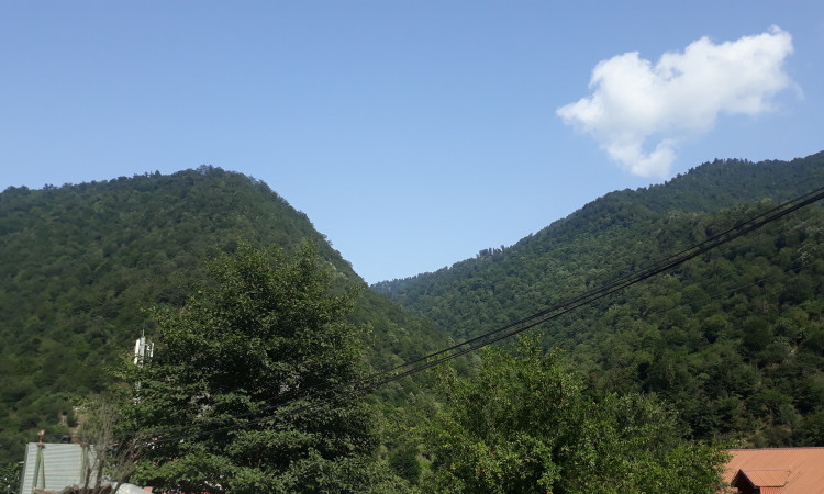 اجاره کلبه چوبی 2 خواب دامون