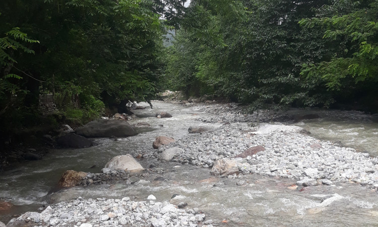 اجاره کلبه چوبی 2 خواب دامون