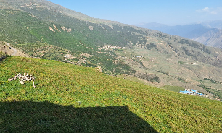 ویلا دوخوابه روستای کرسی