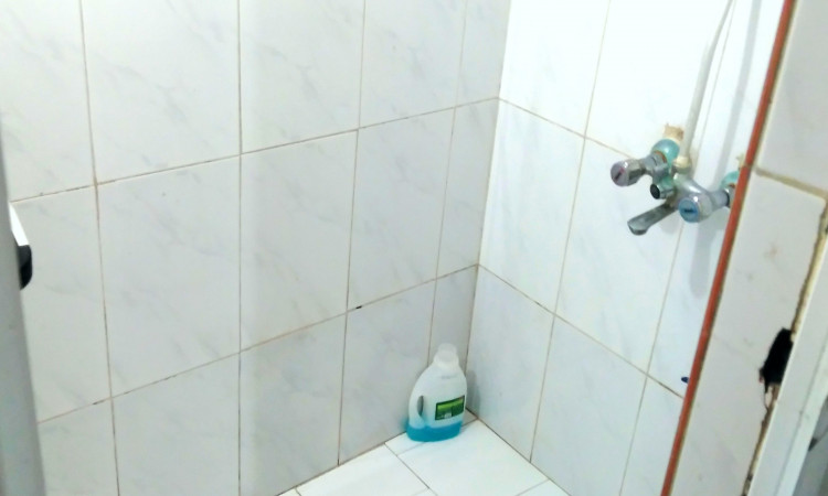اجاره ویلا دوبلکس تک خواب جنگلی