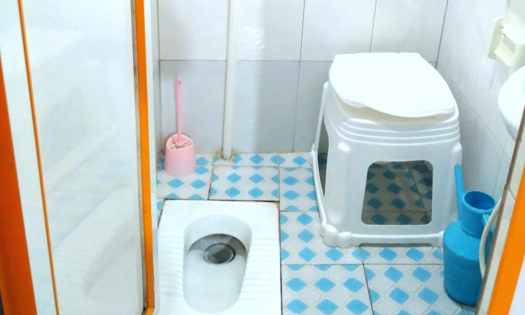 اجاره ویلا دوبلکس تک خواب جنگلی