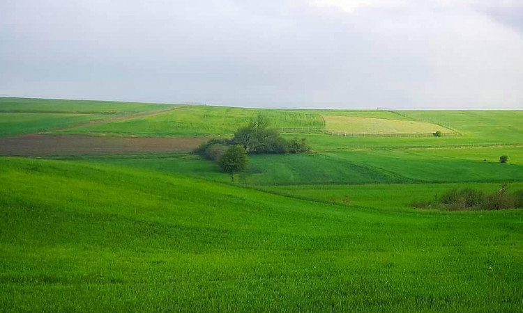 اجاره ویلا در فندقلو با ویو ابدی(دشت بابونه ها)