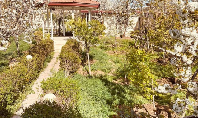 اجاره روزانه و ماهانه باغ ویلای استخردار تابستانی دلفا