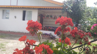 ویلای جنگلی 2 خوابه یاسین اسالم